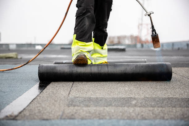 Best Solar Panel Roofing Installation  in Marion, AL