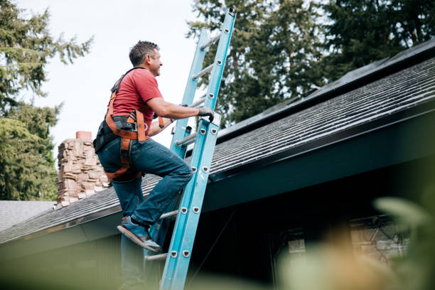 Best Metal Roofing Installation  in Marion, AL